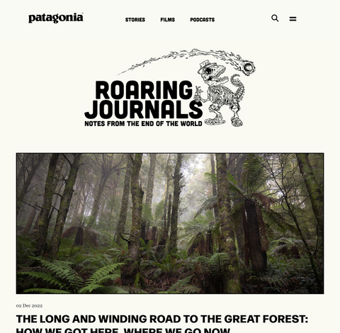 Patagonia roaring journals blog design project
